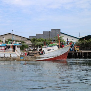 Indonesia longline tuna: Enhancing observer programs