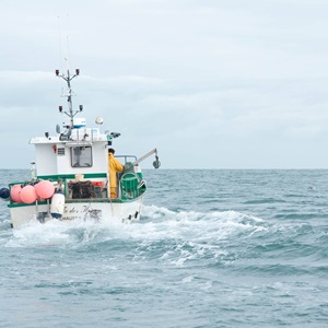 A versão 3.0 do padrão de Pesca