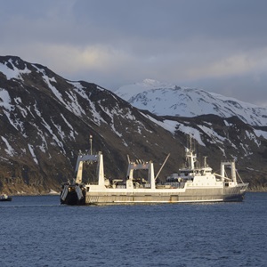 보고서 및 자료