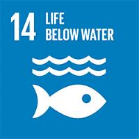 SDG 14 Life below water icon
