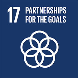 SDG 17 Partnerships for the goals icon