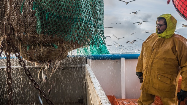 Quota sharing agreement in urgent need