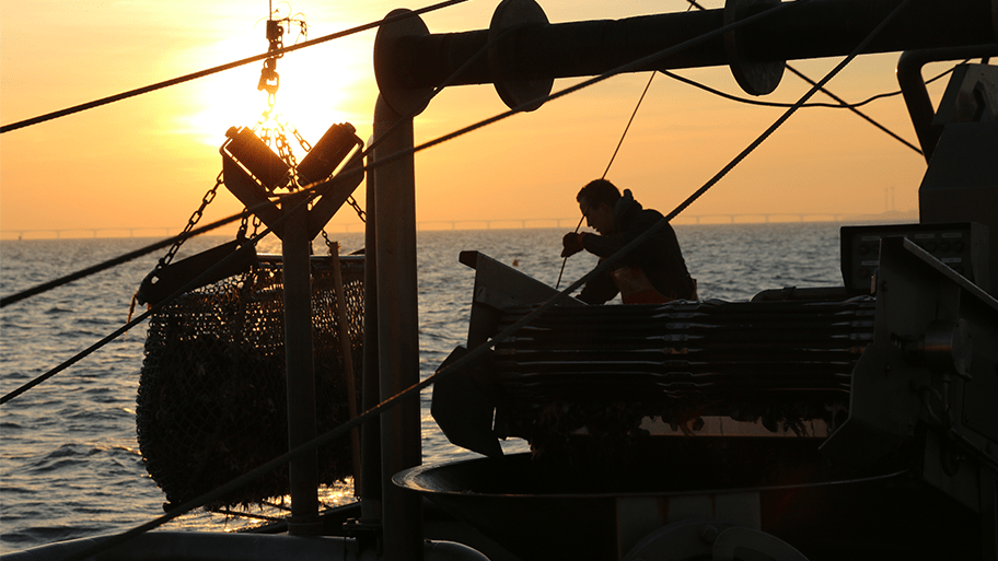 Shorthand 912 513 px mosselen