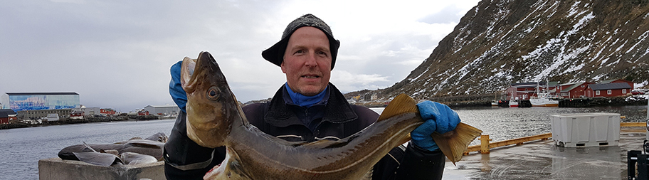 Lofoten fisherman with cod