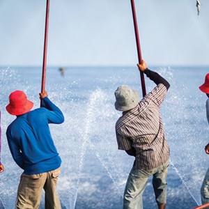 Maldives skipjack tuna: a sustainability success story