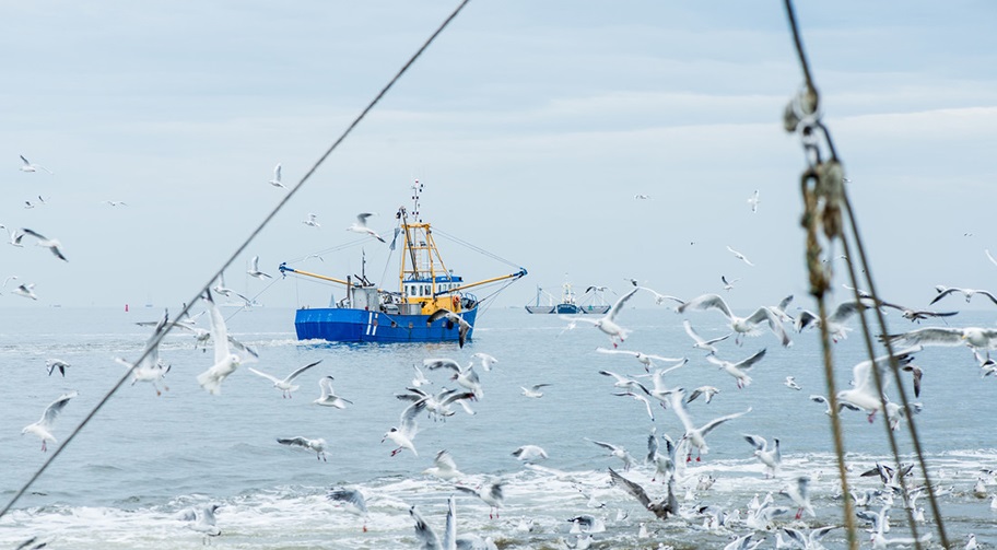 Blue fishing vessel on still sea with gulls and ropes in foreground
