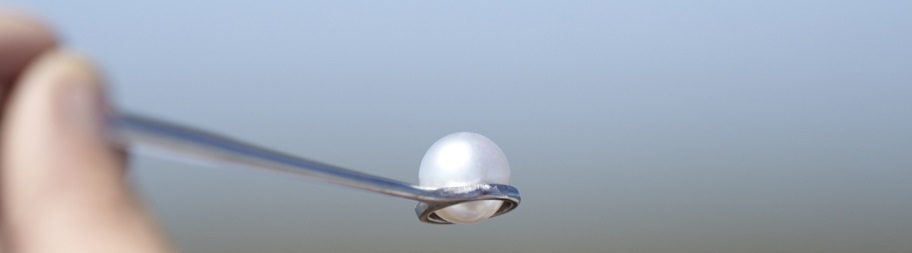 Najpiękniejsze perły z certyfikatem MSC