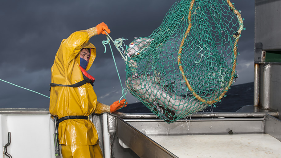 Toothfish fisher pulling net on board boat 