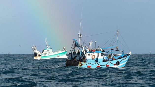 Fischen für die Zukunft 2026