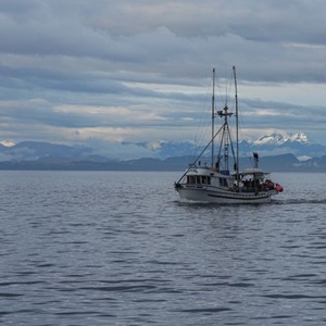Ending the 'race to fish' in the Pacific Northwest
