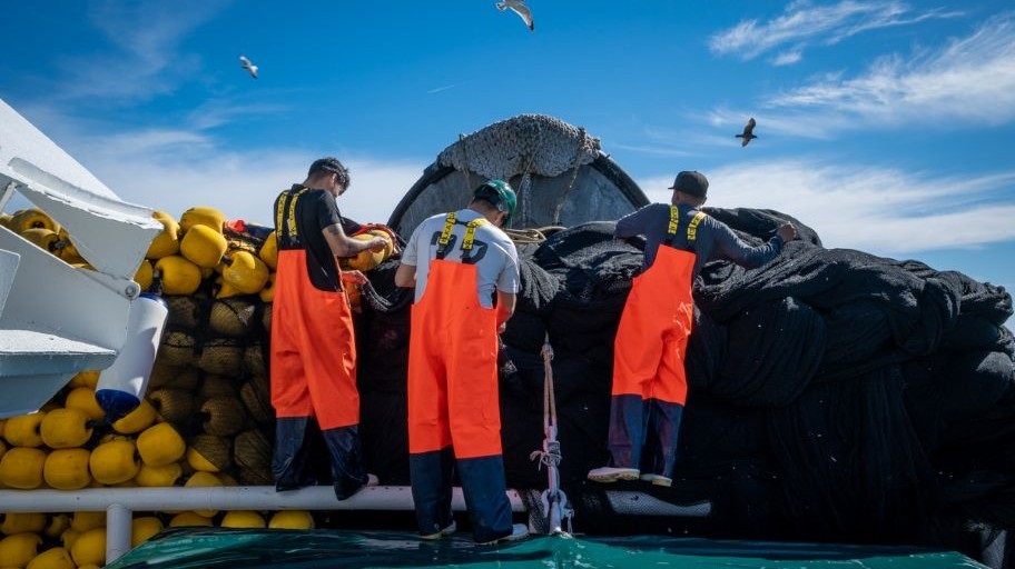 Fishers with purse seine net in the Sonora Small Pelagics fishery