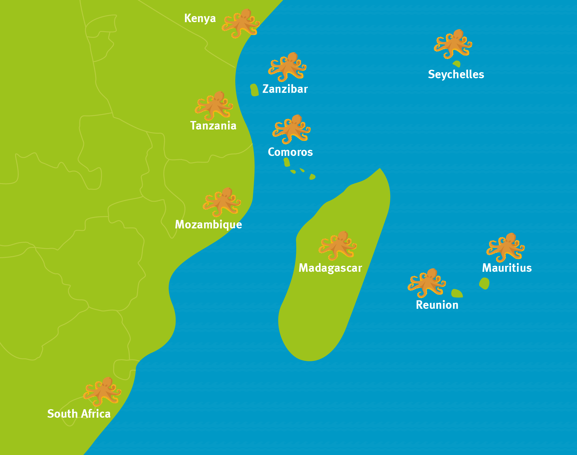 SWIOCeph project map Map showing South Africa, Mozambique, Tanzania and Southwest Indian Ocean islands, with octopus icons.