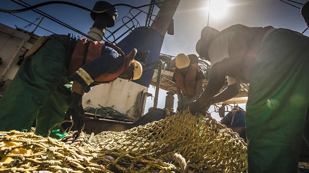 How MSC Certified fisheries are improving