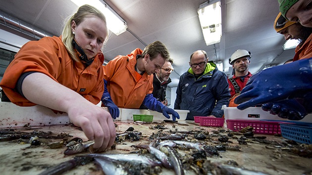 Student Research Grant MSC