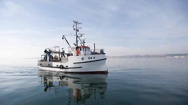 Kahoot Quiz - Cod Fishery Collapse