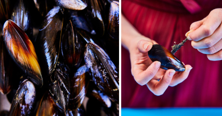 Mussels with fennel, lemon and samphire dip - Step 1