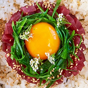 Tonnikala Tun Donburi med tempura af østersøsild