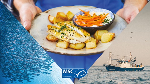 The MSC Ocean Cookbook 2025