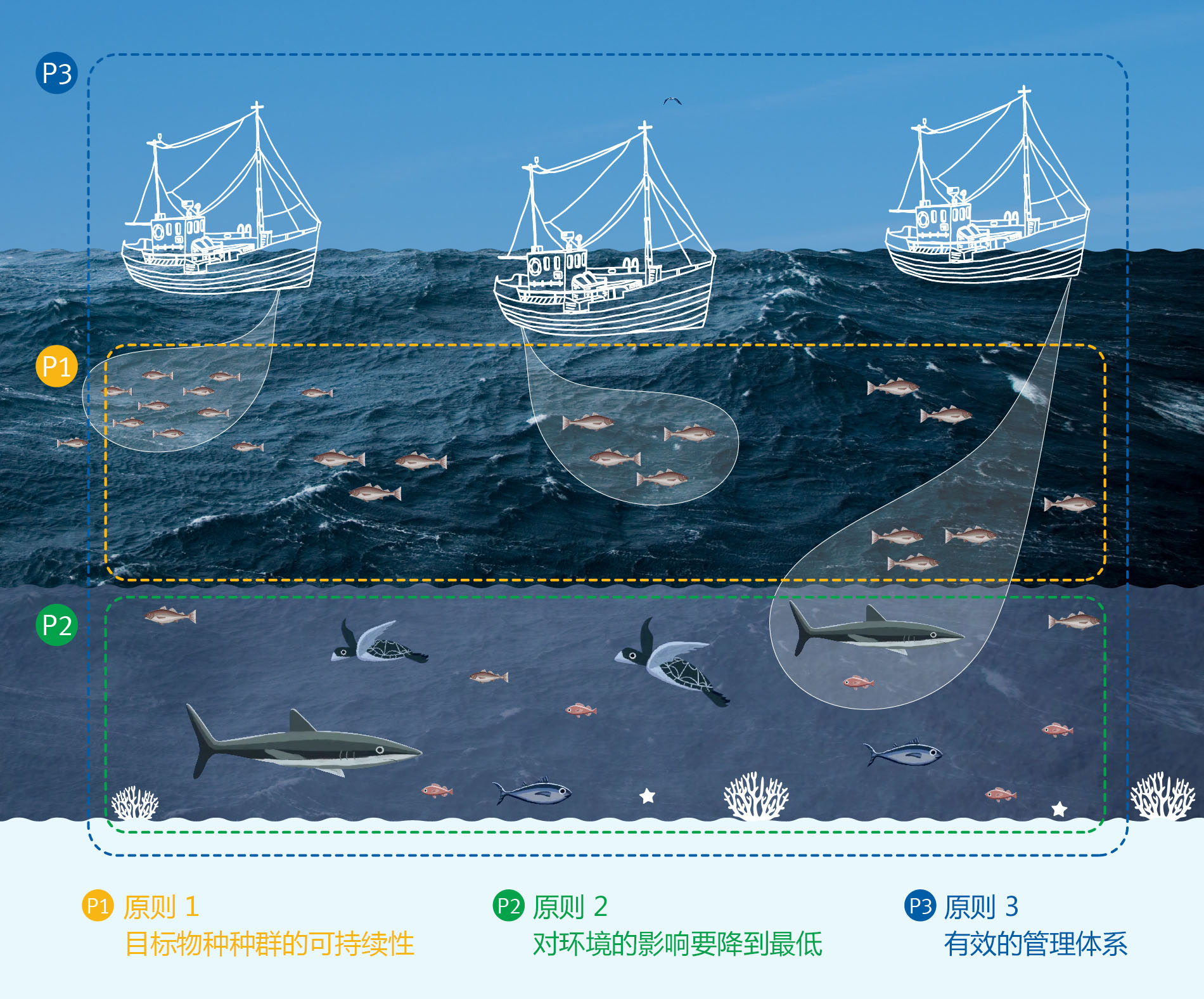 3 principles of MSC fishery standard