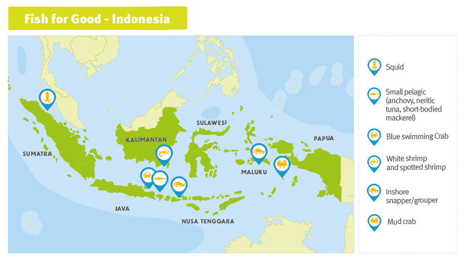 Map of Indonesia showing Fish for Good projects