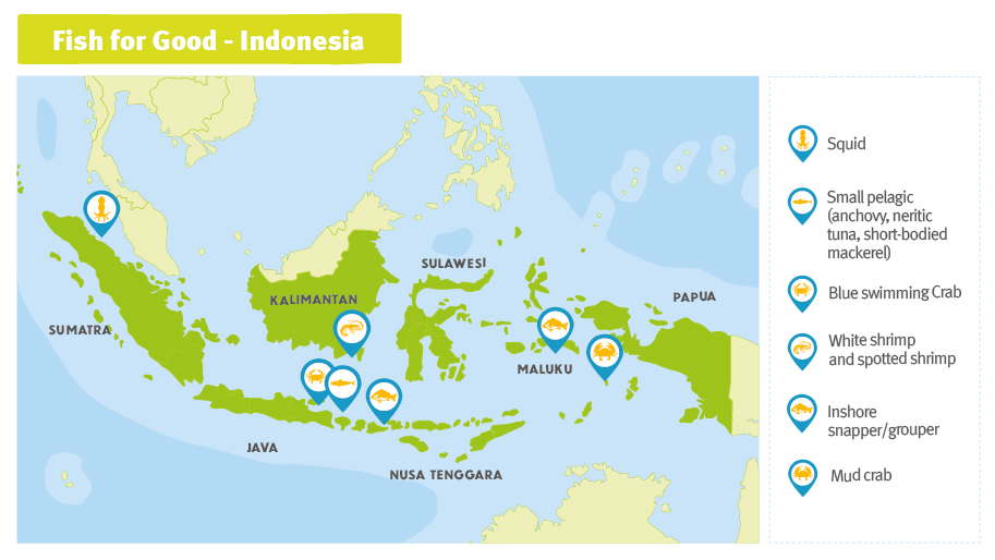 FishForGood_Maps2020_LR_Indonesia Map of Indonesia showing Fish for Good projects