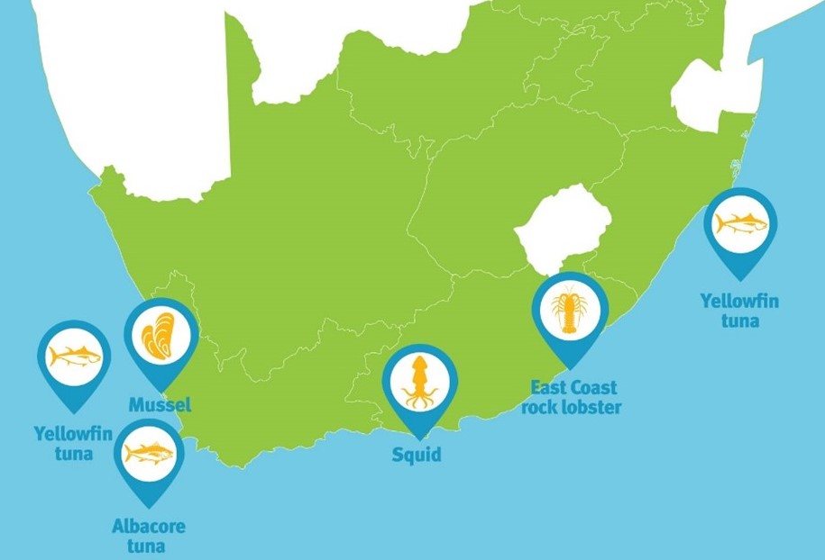 Locations of the 6 Fish for Good fisheries in South Africa