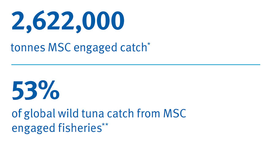 Data: 2,622,000 tonnes MSC engaged catch, 53% of global wild tuna catch