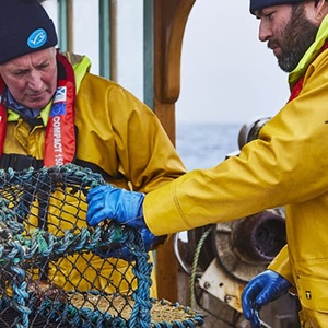 Sind die Anforderungen des MSC streng genug?