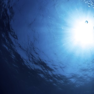 SeaWeek (1-9 March 2025)