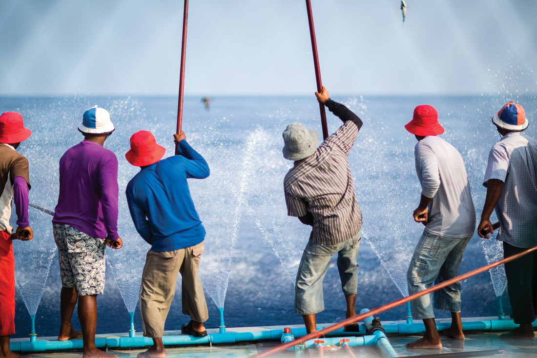 De sociaaleconomische waarde van tonijn