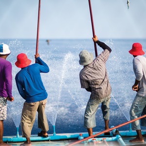 非法、不报告和无管制（IUU）捕捞和破坏性捕捞