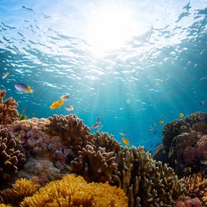 Áhrif loftslagsbreytinga á fiskveiðar