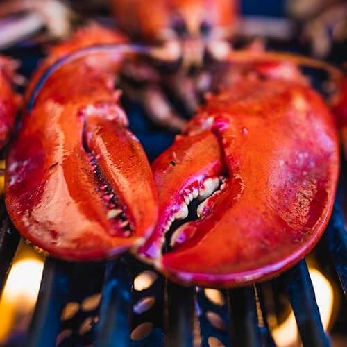 A foodie's guide to bbq shellfish