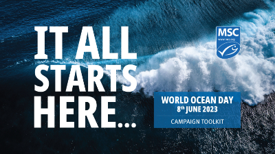 World Ocean Day - It all starts here
