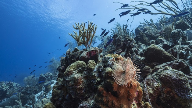 Welche Wirkung diese Projekte bereits zeigen
