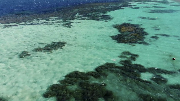 Fischerei und Klimawandel