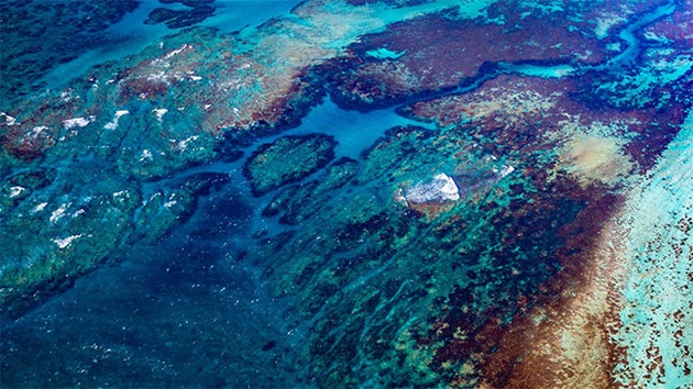 World Oceans Day