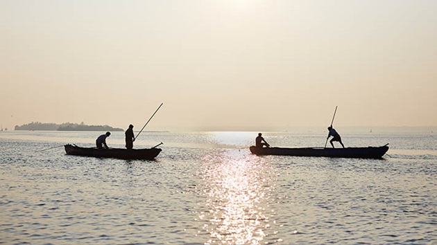 Pathway to sustainability