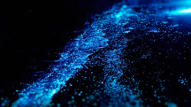 UN Decade of Ocean Science