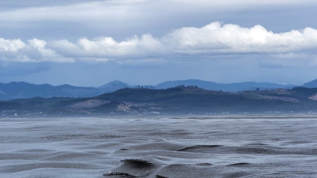 Read more about how Section SE was developed