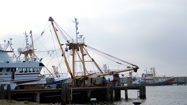 Zertifizierung für Fischereien