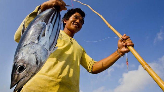 Fischwissen für Foodies