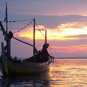 Proyectos de mejora de pesquerías