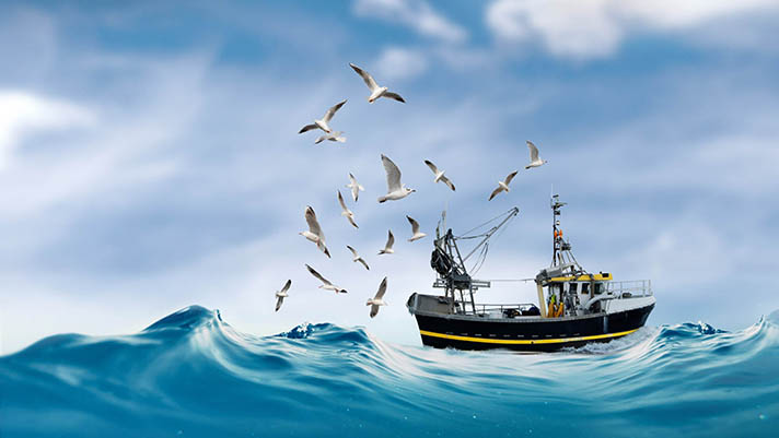 Illustration of fishing vessel on wavy sea with seabirds circling overhead