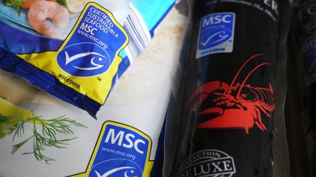 Hae MSC-merkin käyttöoikeutta