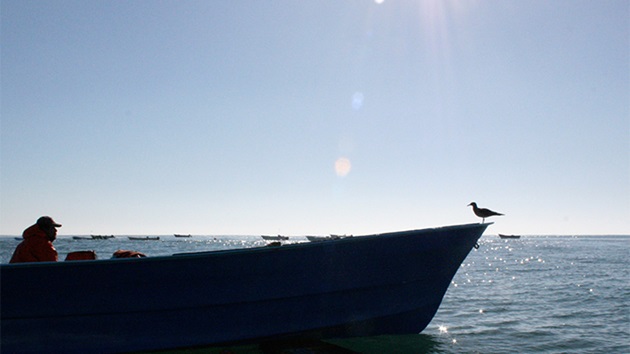 Making Waves: Small-scale fisheries report