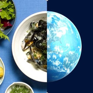 Fisch & Nachhaltigkeit 2024