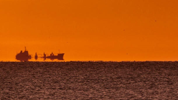 Marine heatwaves and sustainable fishing