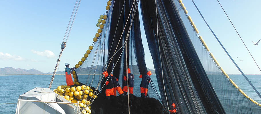 Five fishers pulling large nets on boat on calm sea with island hills on horizon