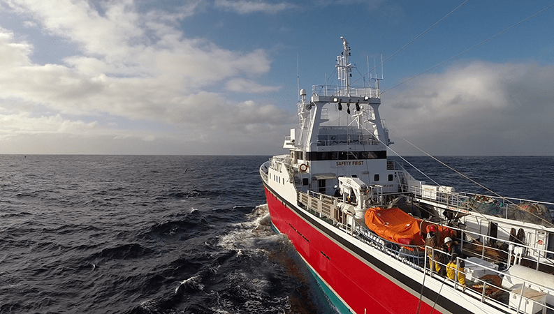 New Zealand orange roughy – a comeback story